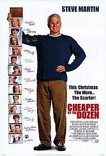Cheaper by the Dozen, 2003