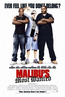 Malibu's Most Wanted, 2003