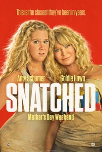 Snatched, 2017: