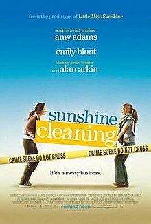 Sunshine Cleaning, 2009