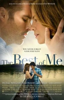 The Best of Me, 2014