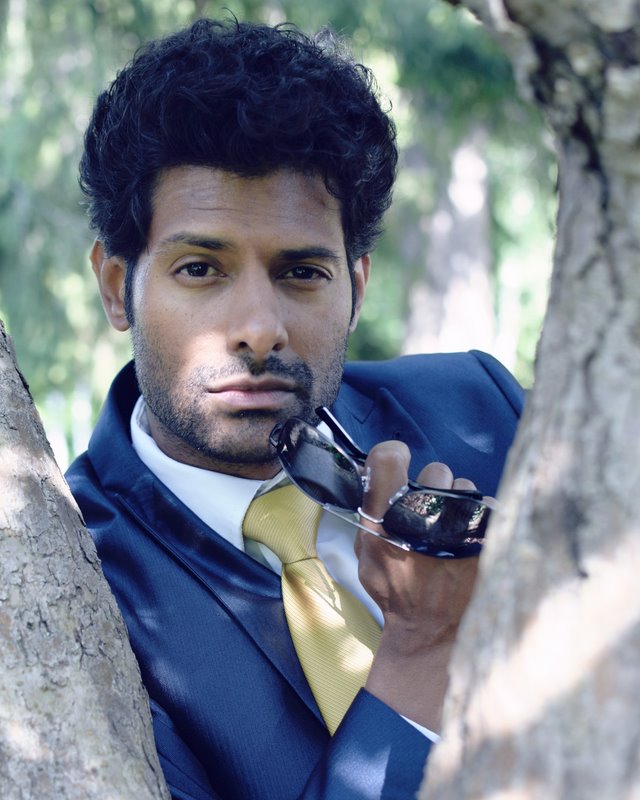 shawn alli model trees